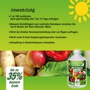 BioFarm Obst & Gemüse Konzentrat