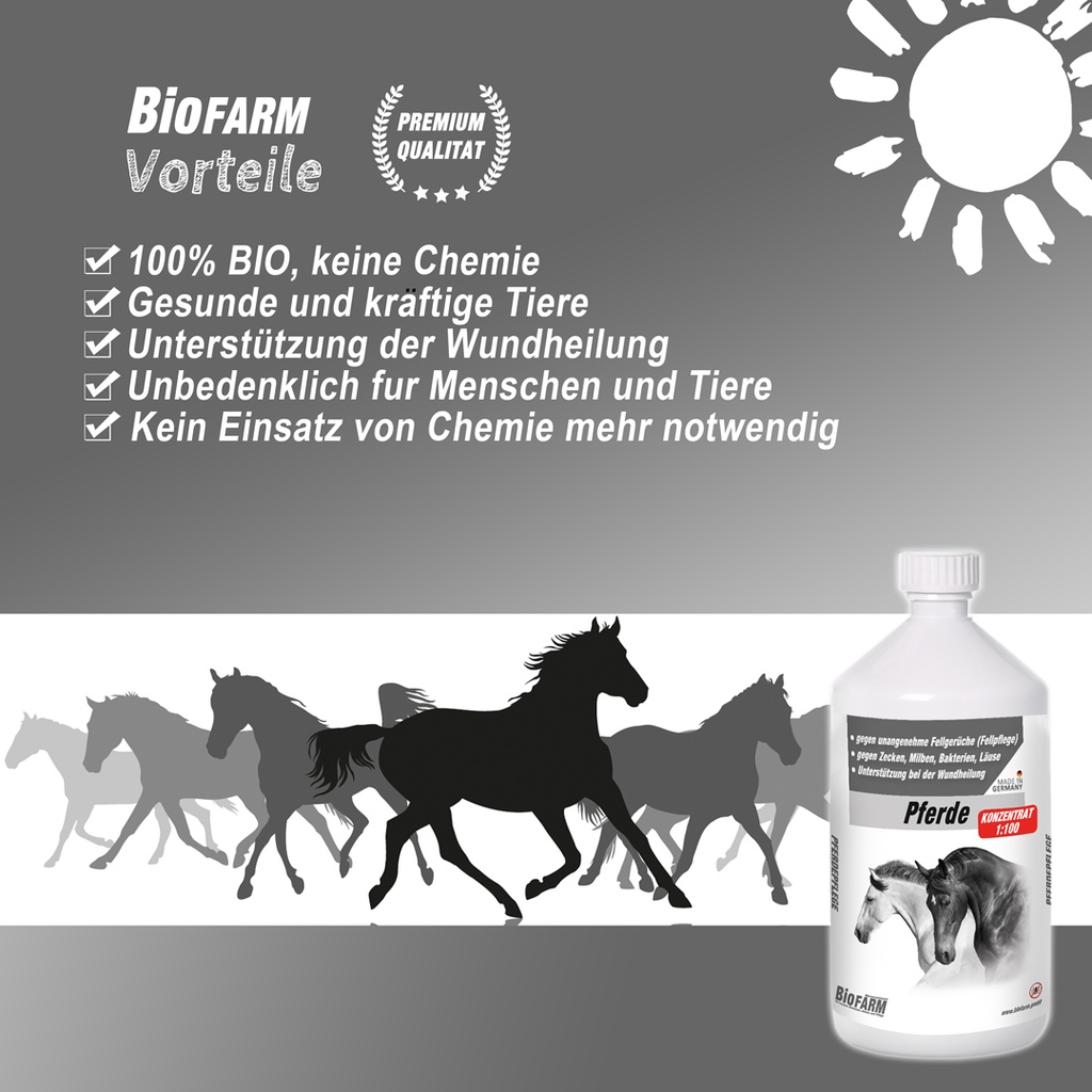 BioFarm Pferde Konzentrat